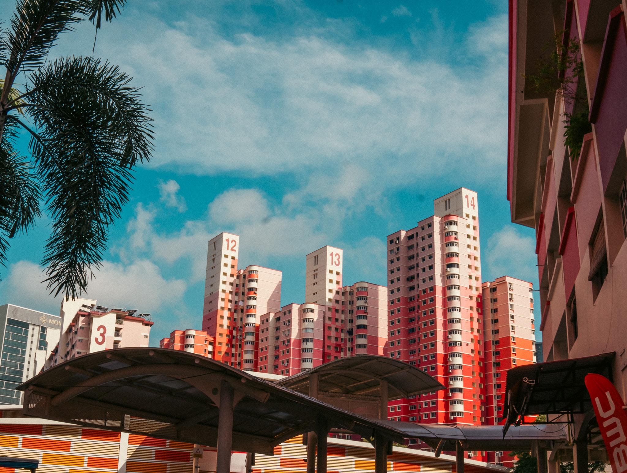 Colourful residential towers in tropical urban landscape