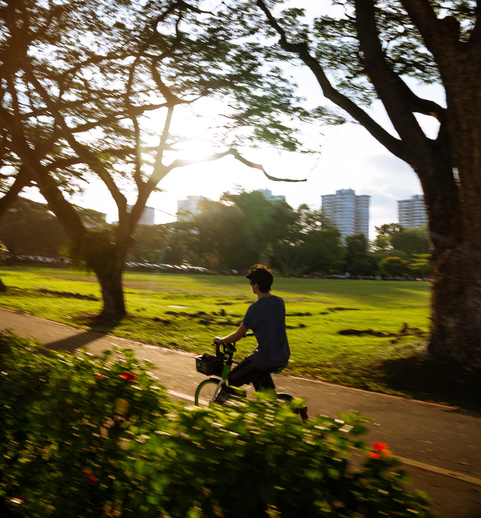 Person cycling through urban park trees