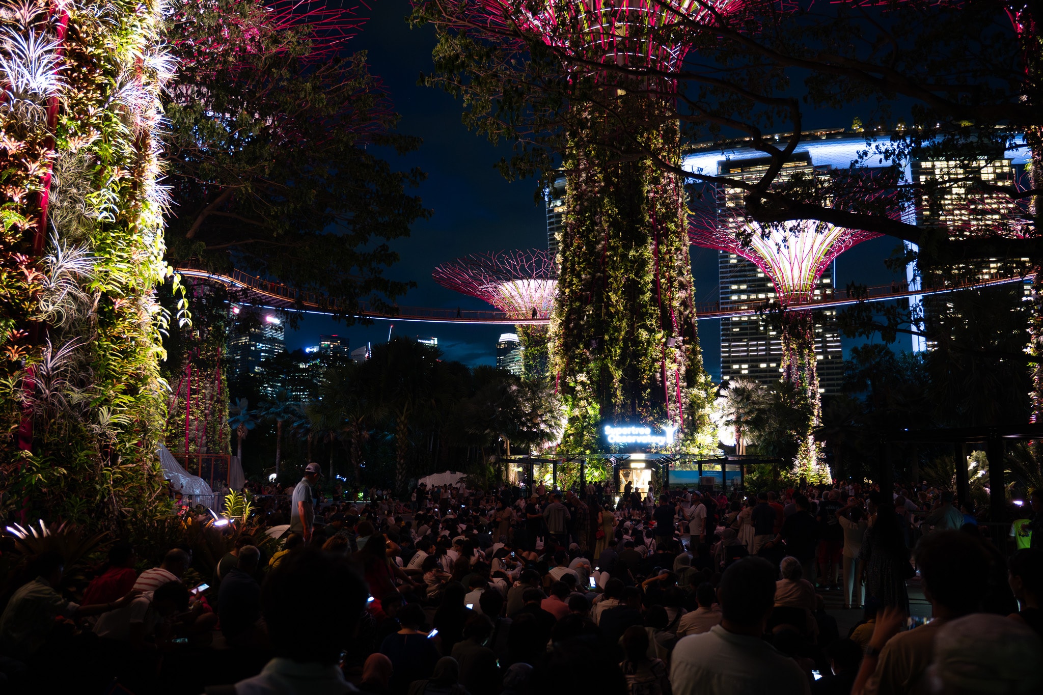 Illuminated garden festival at night with cityscape