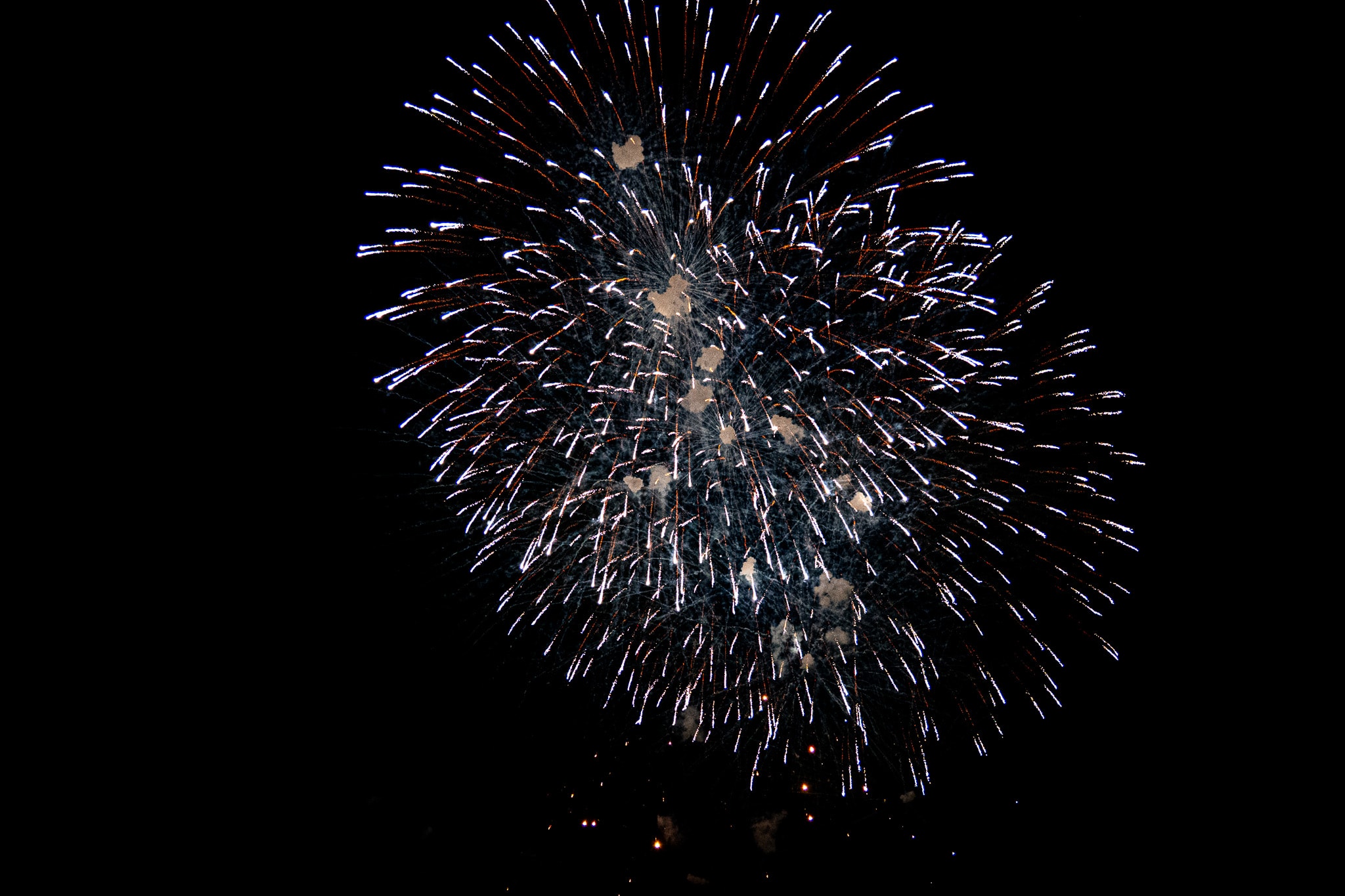 Fireworks exploding in night sky