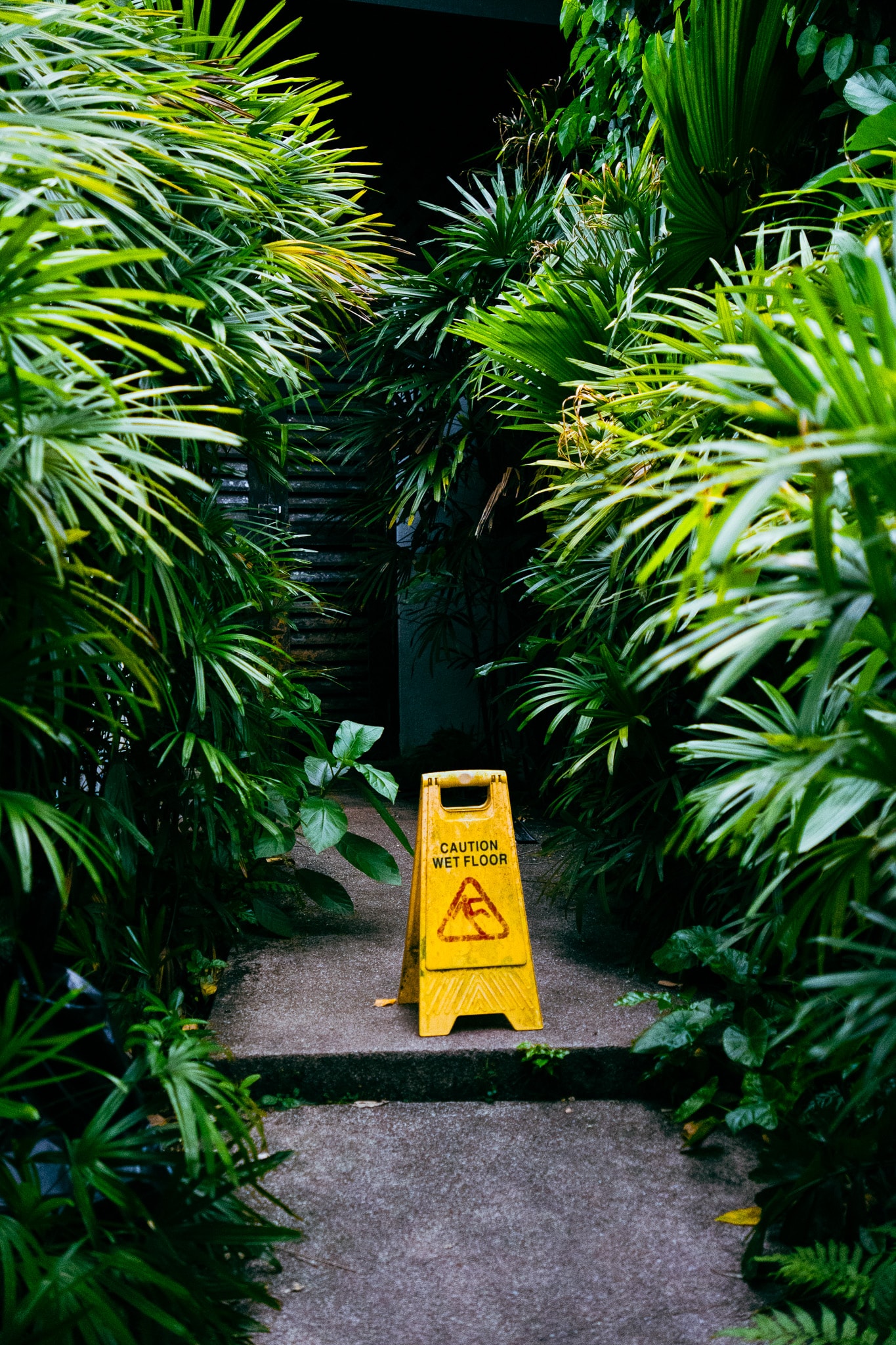 Wet floor caution sign on tropical garden path
