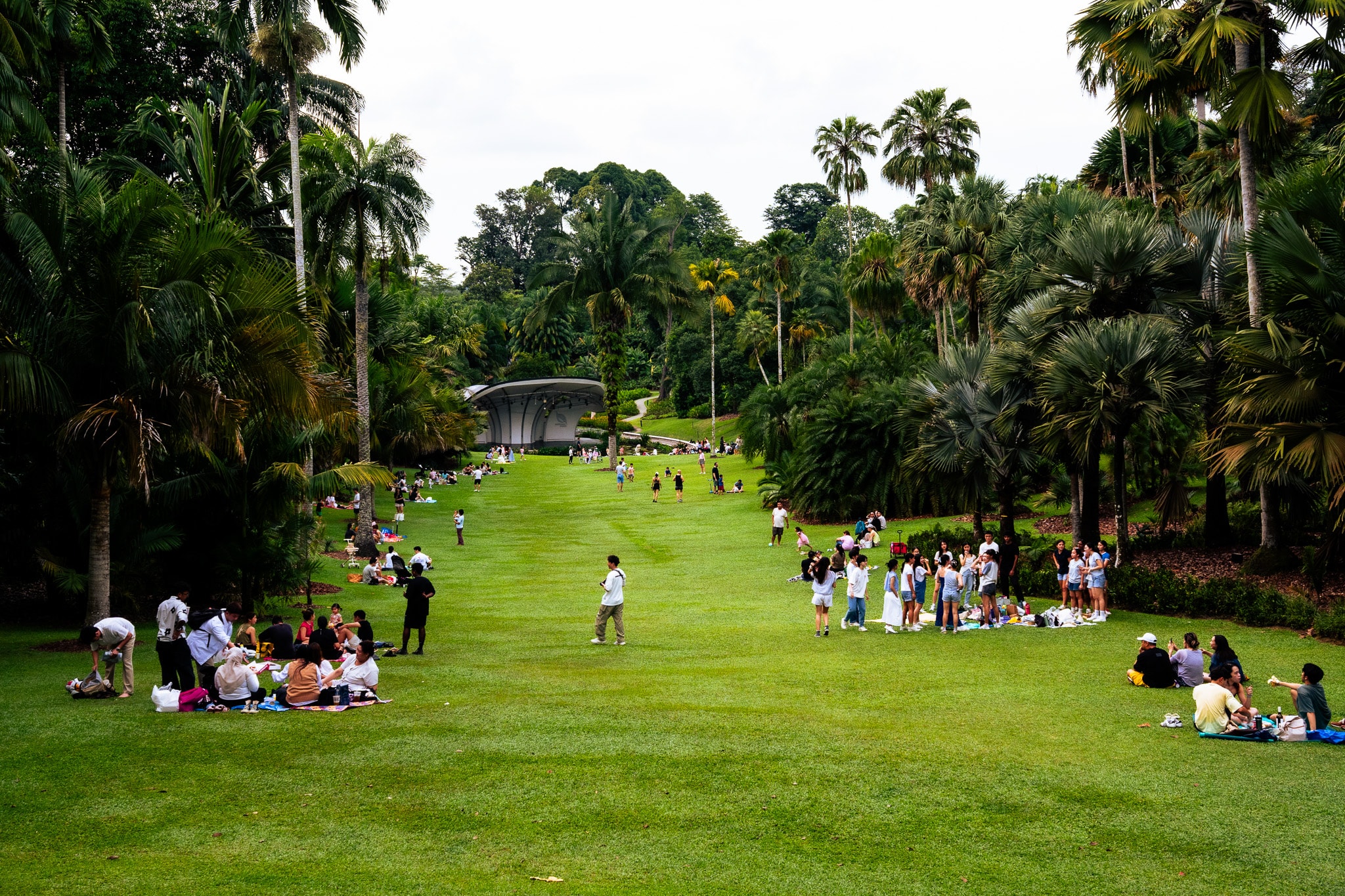 People picnicking on tropical garden lawn