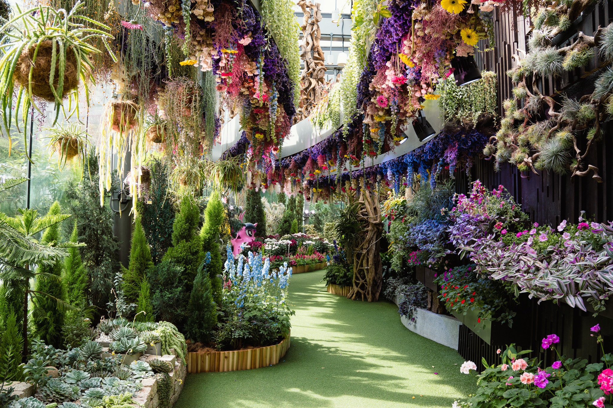 Lush indoor garden with hanging flowers and succulents